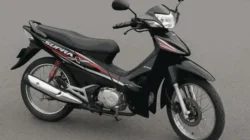 Cek Harga Motor Bebek Terbaru dan Data Penjualan