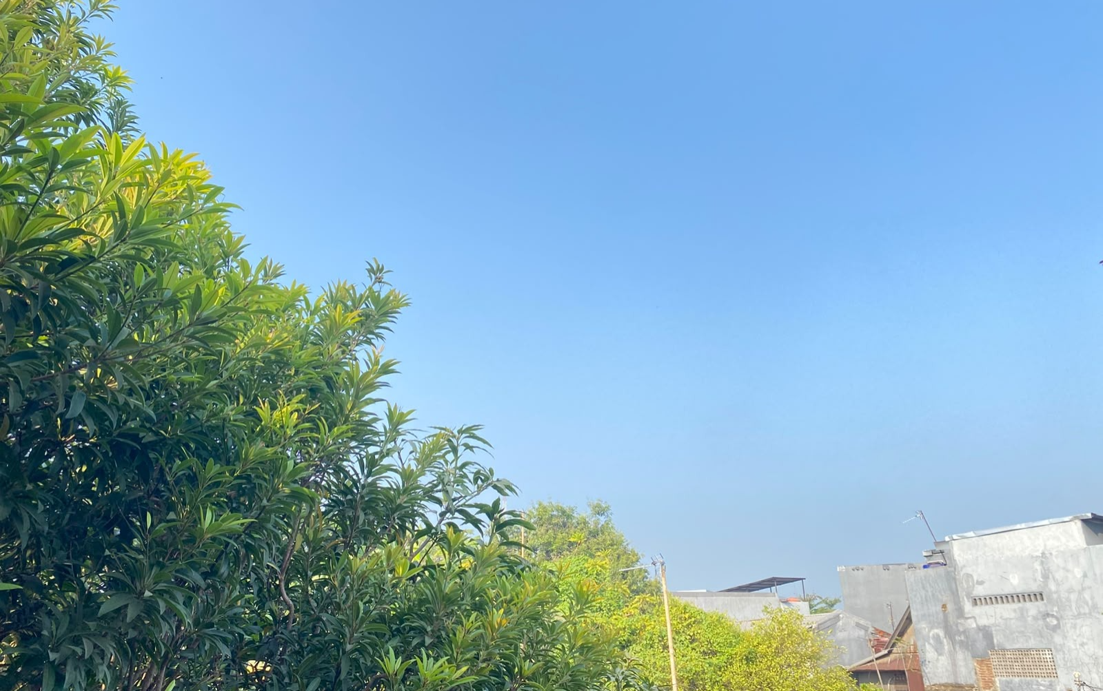 Cuaca Sulsel Hari Ini Cerah Berawan, 10 Daerah Waspada Udara Panas dan Tak Sehat