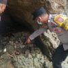 Heboh Penemuan Kerangka Manusia di Pesisir Pantai Pasimasunggu Timur Selayar