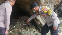 Heboh Penemuan Kerangka Manusia di Pesisir Pantai Pasimasunggu Timur Selayar