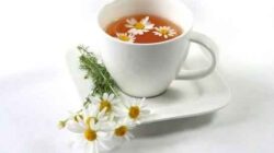 Kapan Waktu Terbaik Minum Teh Chamomile? Ini Penjelasan Ahli Gizi